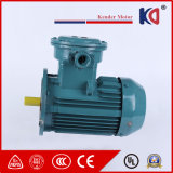 Yb3 Series Ultra-Efficient Ex-Proof Electric Motor