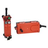 F21-2D Industrial Bridge Crane Wireless Scales Crane Remote Control