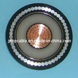 Mv XLPE Insulated Power Cable Armoured with Aluminum Wire