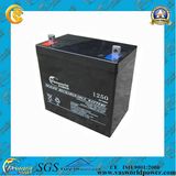 12V OEM Welcomed Rechargeable Battery