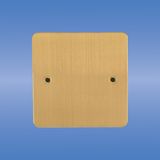 Single Blank Plate (C401C, C402C)