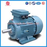 3 Phase Squirrel Cage Air Compressor Motor Price