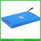 12V 21ah 26650 LiFePO4 Battery Cell Lithium Battery with Ce Certification