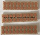 Solder Wire Terminal/Wiring Terminal