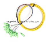 Optical Fiber 12 Cores Bound Pigtail for Fiber Optic Data Transmission/Network
