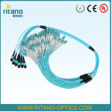 MTP/MPO-FC/St/LC/Sc/Mu/MTRJ/MPO/MTP Fiber Optic Fanout/Breakout Patch Cables for Density