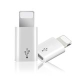 Shenzhen Factory Price Mini Micro USB Adapter for iPhone