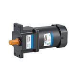 110V/220V 60W Electric Induction AC Gear Motor (Normal Type)