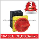Panel Mounted Disconnecting Switch