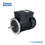 FT/SD Single Phase AC Electrical Water Pump Motor