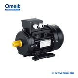 IEC Standard Three-Phase Induction Motor