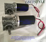 12V or 24V 50rpm 100W-350W DC Worm Gear Motor