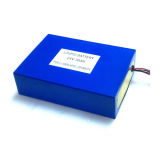 24V 30Ah Electric Tricycle Battery Pack