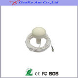 Manufacture 1575.42MHz Car TV GPS Active Antenna with High Gain, GPS Antenna for Android Tablet GPS Antenna