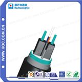 1~2f Optic Fiber Armour Bow-Type Drop Cable