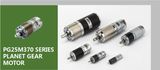 Hot Sale Made in China 12V Planetary Gear Motor