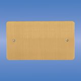 Double Blank Plate, Flat Brushed Brass
