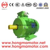 Hm Ie3 IEC Ce Approved Electric Motor AC Motor Asynchronous Motor Induction Motor