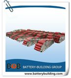 52V Hailong Lithium battery Hl03 Panasonic Ga Battery Pack with Ga Cells by 14s5p