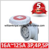 IP67 32A 3p+N+E 400V Panel-Mounted Plug Adapter