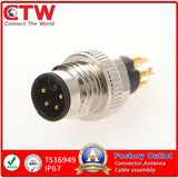 M8 30V Hybird 5 Pin Male Connector