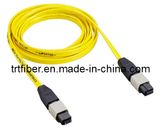 MTP/MPO Fiber Optic Patch Cord, Optical Fiber Cable, Fiber Optic Patchlead (MPO-SM)