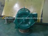 Electric Induction Motor DC 12V for Sale