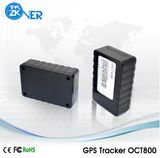 Hot Sale GPS Tracker with Acc Detection (OCT800-D)