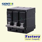 Professional Manufactures RCBO Residual Circuit Breaker (C16)