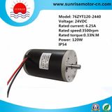 76zyt120-2440 24V 0.33 High Quality DC Motor