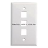 3 Port USA Type Long Face Plate