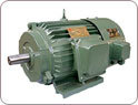 Yvp Series Three-Phase Induction Motor