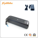 Hailong Style 48V 13ah Lithium Ion Battery with USD Port for Phone