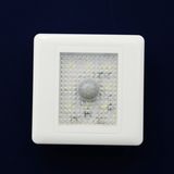 LED Infrared Sensor Foodlight Flood Light