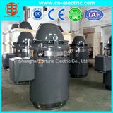 High Voltage Vertical Hollow Shaft Motor for Deep Water Pump