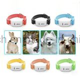 Cute Pets Mini GPS Tracker for Dog /Cat (TK909)