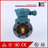 Yb3 Series Three Phase 15kw Explosion Proof Motor