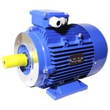 Pole 2 Aluminium Ie3 Electric Three Phase Induction Motor (3HMA-801-2-0.75)