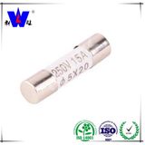 Good Price Power Car Fuse