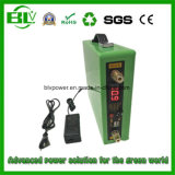 12V 60ah 720W Multifunction UPS Lithium Battery Alarm Application Mini UPS China with Stock
