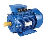 General Purpose Three Phase Induction Motor (GOST Standard)