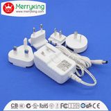 AC DC Adapter Switching Power Supply for LED Lighting Speaker
