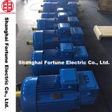 China Electric Brand Yzr Yz Slip Ring AC Crane Motor