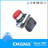 Electrical 22mm Pushbutton Switch with Ce RoHS Approval
