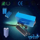 Customized 24V 20ah Rechargeable LiFePO4 Battery for Electric Car
