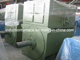 High Quality 1000rpm Squirrel Cage AC Motor