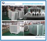 Manufacture Supply S13 Series Oil Type Transformer