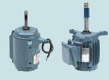 Cooling Three-Phase Asynchronous Tower Electric Motor (YCCL)