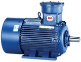 Yb2 Explosion-Proof Three Phase Induction Motor with CE Certificate