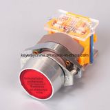 Normal Type Keyway Push Button Switch